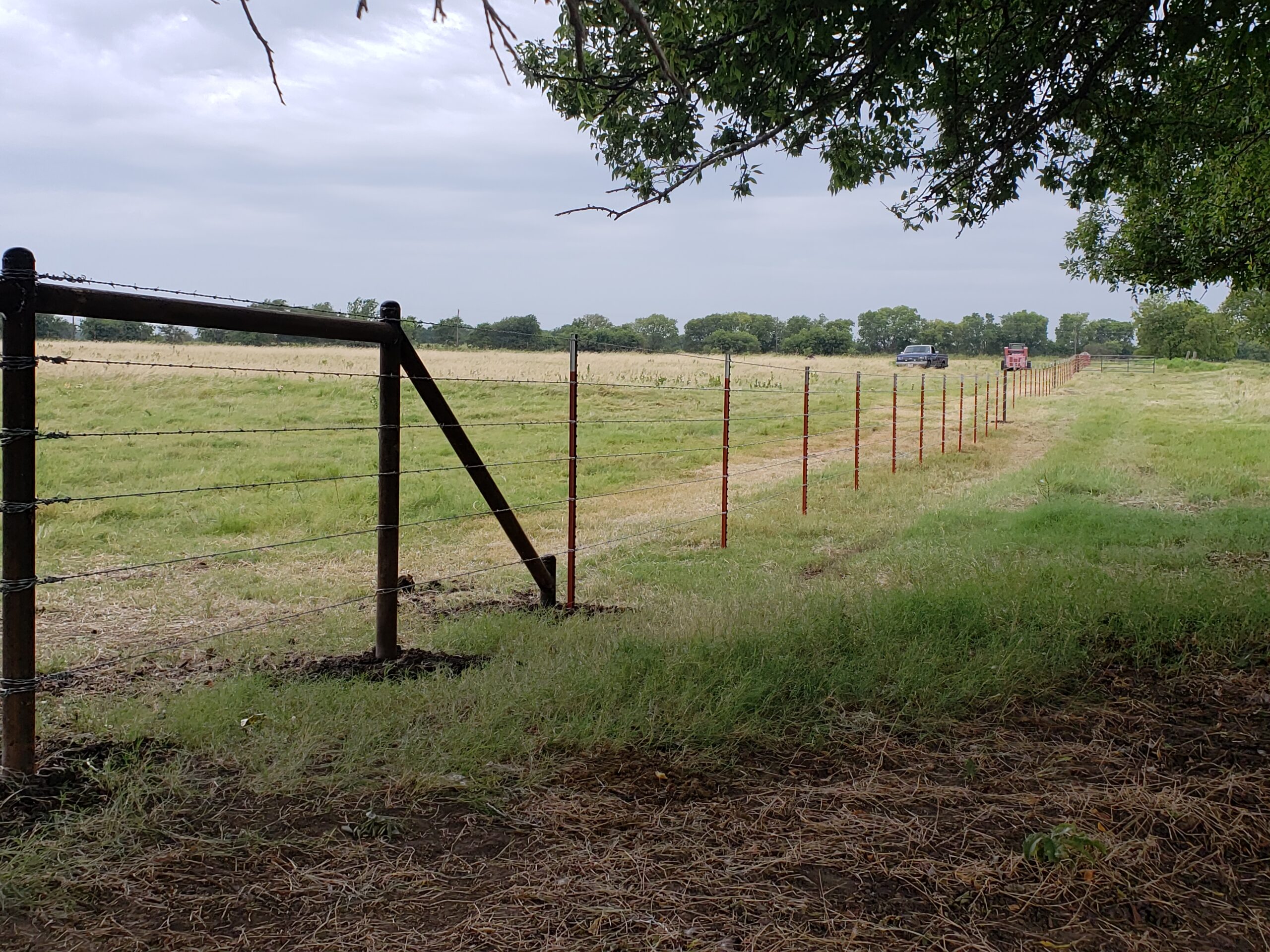 barbed-wire fence